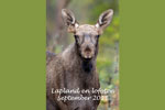 Lapland en Lofoten