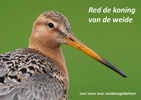 Red de Koning van de de weide